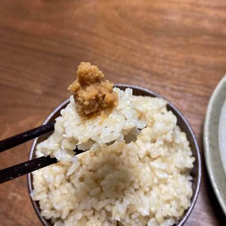 宮沢賢治みたいに一日で玄米四合と味噌と少しの野菜を食べた 作っちゃうおじさん制作記録