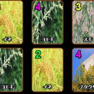 花粉症ソリティア