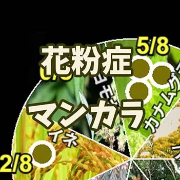 花粉症マンカラ